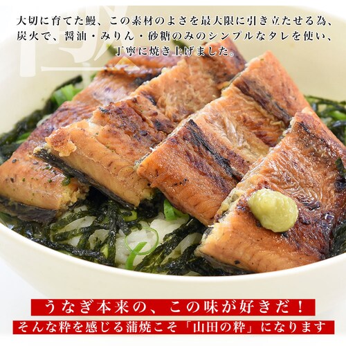 鹿児島県産 山田水産の極上国産うなぎ蒲焼「山田の粋(やまだのいき)」(大型サイズのカット真空80g×5枚) 送料無料 鰻蒲焼 ウナギ【ご注文後3日から18日以内に発送します】_12