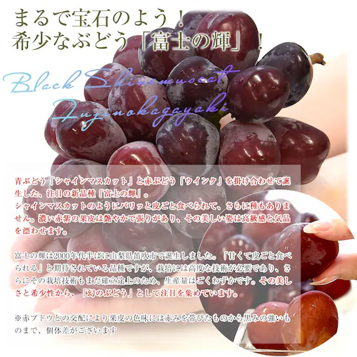 山梨県産 JAフルーツ山梨 富士の輝 ブラックシャインマスカット 約1.1キロ(2房) 送料無料 種無しぶどう 赤ブドウ ふじのかがやき【ご注文後3日から18日以内に発送します】_2