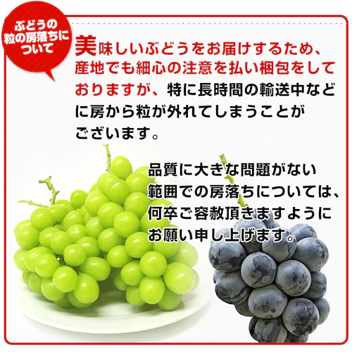 山梨県産 JAフルーツ山梨 富士の輝 ブラックシャインマスカット 約1.1キロ(2房) 送料無料 種無しぶどう 赤ブドウ ふじのかがやき【ご注文後3日から18日以内に発送します】_5
