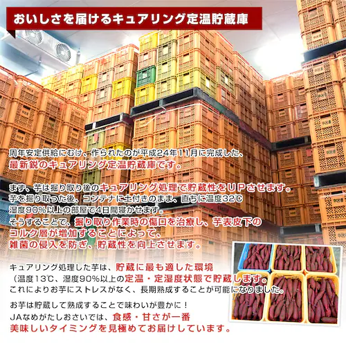 茨城県 JAなめがたしおさい 冷凍焼き芋 行方の紫福(なめがたのしふく) 送料無料 さつまいも やきいも ※クール冷凍便_5