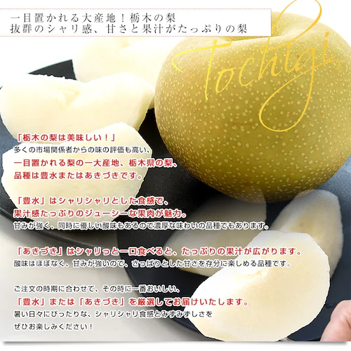 栃木県 JA全農とちぎ 梨(豊水またはあきづき)秀品 約2キロ (5玉から6玉) 送料無料 なし ナシ ほうすい あきづき【ご注文後3日から18日以内に発送します】_2
