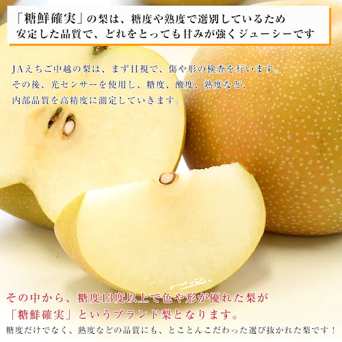 新潟県産 JAえちご中越 糖度13度以上 高糖度梨 最上位等級 「糖鮮確実 (とうせんかくじつ)」 約2キロ (4玉から6玉) 送料無料 なし ナシ【ご注文後3日から18日以内に発送します】_3