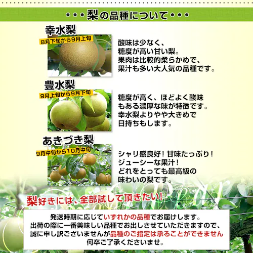 新潟県産 JAえちご中越 糖度13度以上 高糖度梨 最上位等級 「糖鮮確実 (とうせんかくじつ)」 約2キロ (4玉から6玉) 送料無料 なし ナシ【ご注文後3日から18日以内に発送します】_5