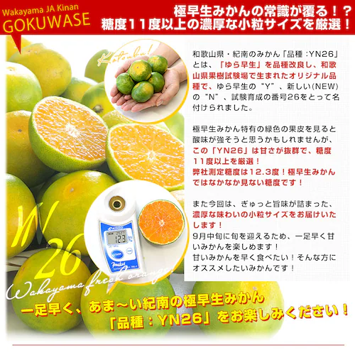 和歌山県 JAわかやま紀南地域本部 「紀南の極早生小粒みかん」品種:YN26 3Sサイズ 約3キロ(50玉前後入り) 送料無料 小玉みかん 極早生みかん 蜜柑 ミカン【ご注文後3日から18日以内に発送_2