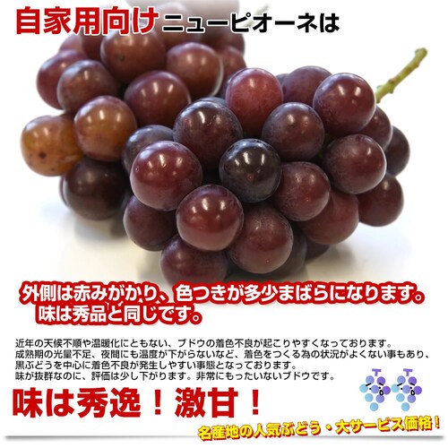 岡山県産 JA晴れの国岡山 自家用ニューピオーネ 良品 約1キロ(2房)送料無料 ぶどう 種なし黒ぶどう_2
