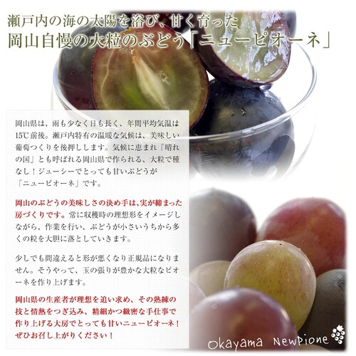 岡山県産 JA晴れの国岡山 自家用ニューピオーネ 良品 約1キロ(2房)送料無料 ぶどう 種なし黒ぶどう_4