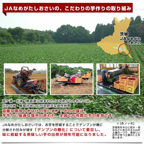 茨城県 JAなめがたしおさい 冷凍焼き芋 行方の紫福(なめがたのしふく) 送料無料 さつまいも やきいも ※クール冷凍便_4