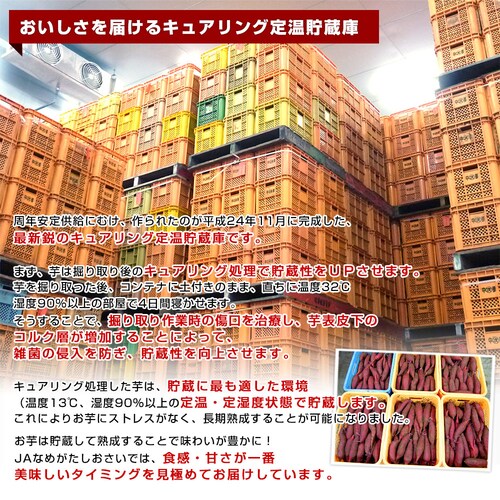 茨城県 JAなめがたしおさい 冷凍焼き芋 行方の紫福(なめがたのしふく) 送料無料 さつまいも やきいも ※クール冷凍便_5