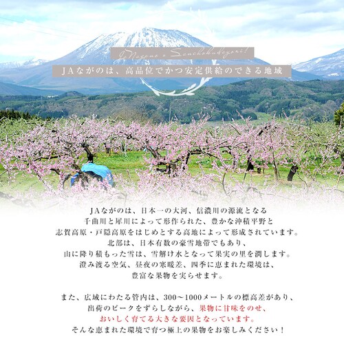 長野県 JAながの クイーンルージュ 約1キロ(2房) 送料無料 ブドウ 葡萄【ご注文後3日から18日以内に発送します】_3