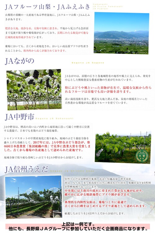 山梨・長野県産 シャインマスカット(赤秀品以上)& ナガノパープル(秀品) 各1房 合計約1キロ 送料無料 ぶどう 葡萄 ぶどうセット【ご注文後3日から18日以内に発送します】_5