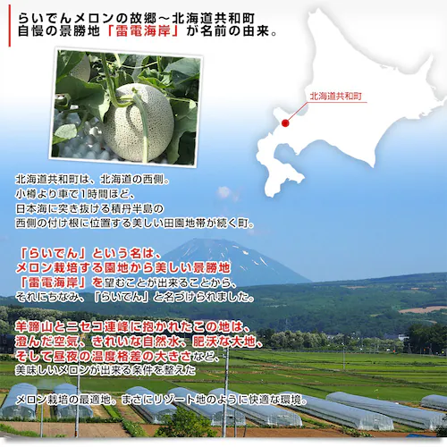 北海道産 JAきょうわ らいでんメロン(赤肉)大玉2玉セット 約3キロ(1玉1.5キロ前後) 送料無料 メロン 北海道メロン ギフト お中元_4
