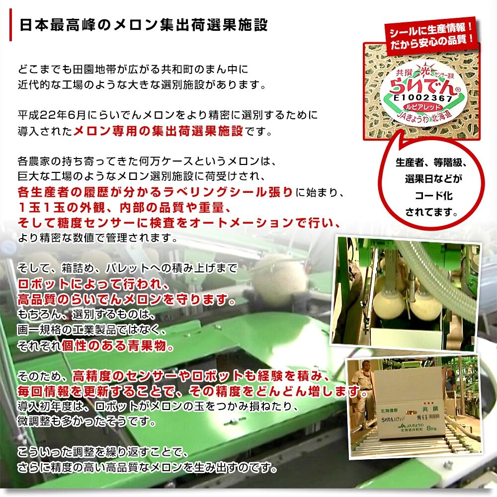 北海道産 JAきょうわ らいでんメロン（赤肉）大玉2玉セット 約3キロ（1