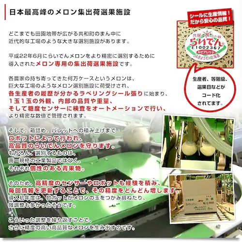 北海道産 JAきょうわ らいでんメロン(赤肉)大玉2玉セット 約3キロ(1玉1.5キロ前後) 送料無料 メロン 北海道メロン ギフト お中元_5