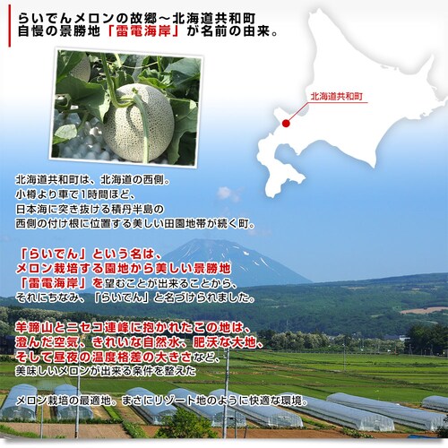 北海道産JAきょうわ らいでんメロン(赤肉)&らいでんクラウンメロン(青肉)大玉2玉セット(合計約3キロ) 送料無料 メロン 北海道メロン ギフト お中元_4