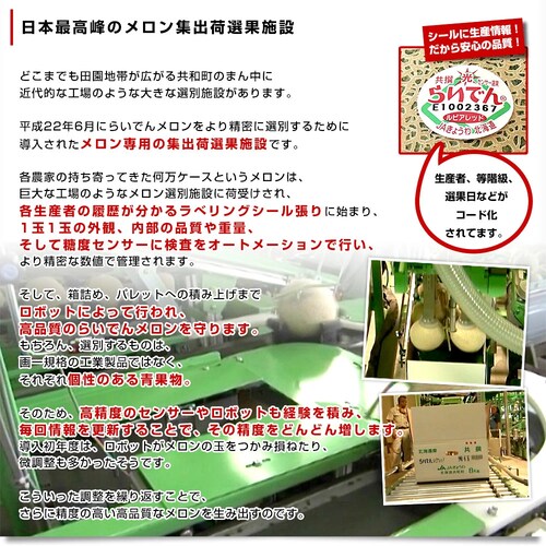 北海道産JAきょうわ らいでんメロン(赤肉)&らいでんクラウンメロン(青肉)大玉2玉セット(合計約3キロ) 送料無料 メロン 北海道メロン ギフト お中元_5