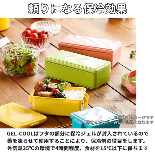 チョコレート 1段 弁当箱 500ml 保冷 通販 お弁当箱 ランチボックス 一段 1段 GEL-COOL ジェルクール square スクエア L 500 ジェラート plain プレーン お弁当 _3