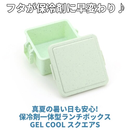 バニラ 1段 弁当箱 220ml 保冷 通販 お弁当箱 ランチボックス 一段 1段 GEL-COOL ジェルクール square スクエア S 220 ジェラート plain プレーン お弁当 ランチ_1