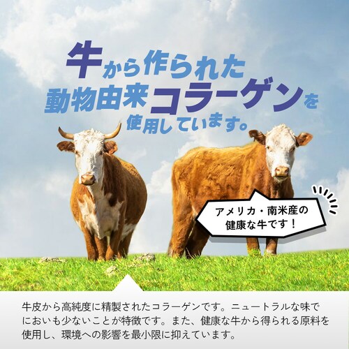 コプリナ 高純度コラーゲンコーヒー 100g_7