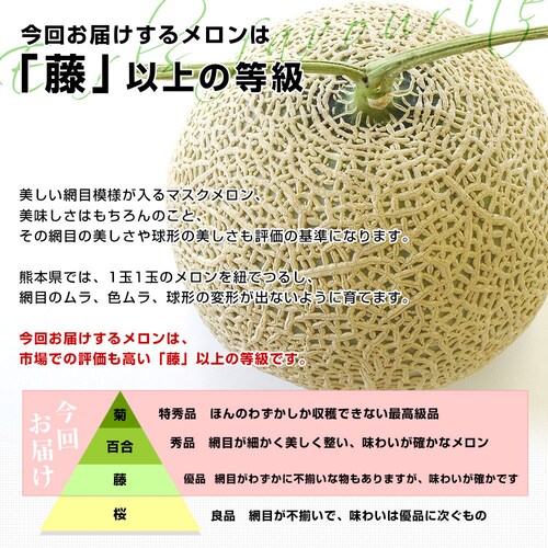 熊本県から産地直送 大玉アールスメロン 約8キロ原体箱(4玉から5玉)送料無料 めろん アールスメロン マスクメロン【ご注文後3日から18日以内に発送します】_3