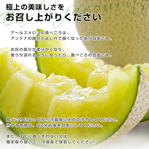 熊本県から産地直送 大玉アールスメロン 約8キロ原体箱(4玉から5玉)送料無料 めろん アールスメロン マスクメロン【ご注文後3日から18日以内に発送します】_5
