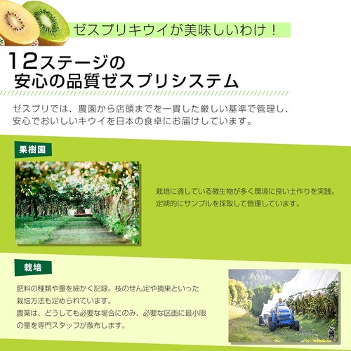 �j���[�W�[�����h�Y �[�X�v���E�O���[���L�E�C ��� 3.5�L���O��i25�ʁj �������� �N�[���� �L�E�C�t���[�c �w�C���[�h ���n�L�E�C_3