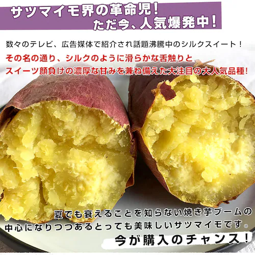 千葉県産 JAかとり シルクスイート Lサイズ 約2.5キロ(7本前後) 送料無料 さつまいも サツマイモ 薩摩芋 新芋【ご注文後3日から18日以内に発送します】_2