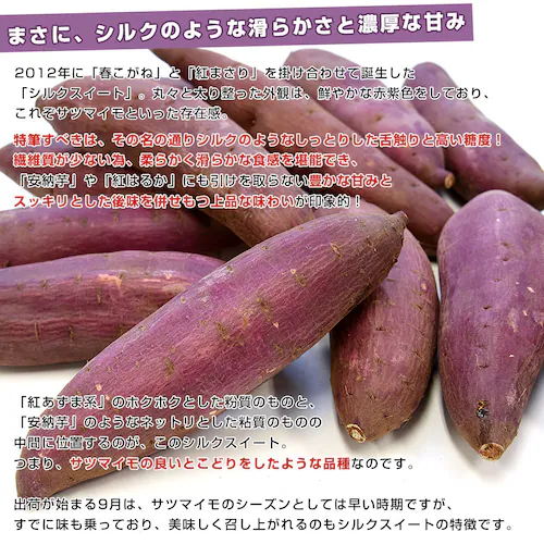 千葉県産 JAかとり シルクスイート Lサイズ 約2.5キロ(7本前後) 送料無料 さつまいも サツマイモ 薩摩芋 新芋【ご注文後3日から18日以内に発送します】_3