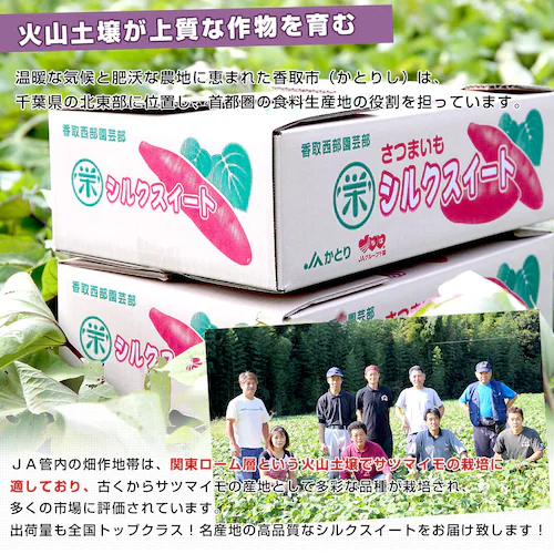 千葉県産 JAかとり シルクスイート Lサイズ 約2.5キロ(7本前後) 送料無料 さつまいも サツマイモ 薩摩芋 新芋【ご注文後3日から18日以内に発送します】_4