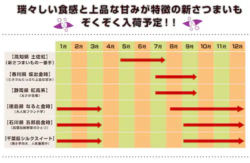 千葉県産 JAかとり シルクスイート Lサイズ 約2.5キロ(7本前後) 送料無料 さつまいも サツマイモ 薩摩芋 新芋【ご注文後3日から18日以内に発送します】_5