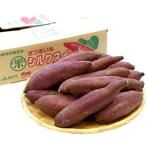 千葉県産 JAかとりシルクスイート Lサイズ 約5キロ(13本前後) 送料無料 さつまいも サツマイモ 薩摩芋 新芋【ご注文後3日から18日以内に発送します】_1