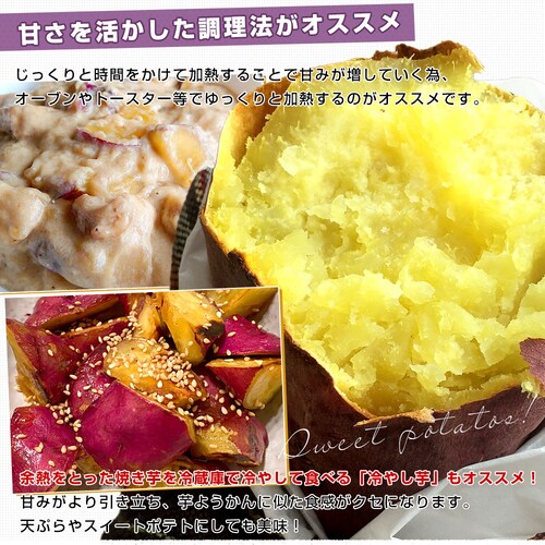 千葉県産 JAかとりシルクスイート Lサイズ 約5キロ(13本前後) 送料無料 さつまいも サツマイモ 薩摩芋 新芋【ご注文後3日から18日以内に発送します】_6