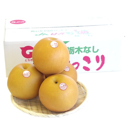栃木県産 JA全農とちぎ にっこり梨 大玉 5キロ (4玉から6玉) 優品以上 送料無料 なし 梨 ナシ【ご注文後3日から18日以内に発送します】_1