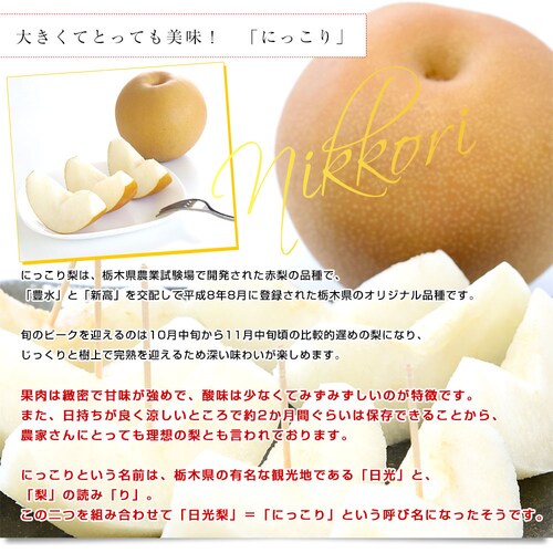 栃木県産 JA全農とちぎ にっこり梨 大玉 5キロ (4玉から6玉) 優品以上 送料無料 なし 梨 ナシ【ご注文後3日から18日以内に発送します】_2