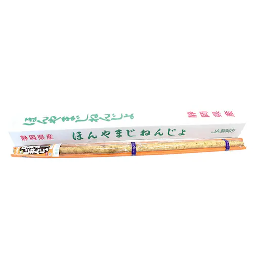 静岡県より産地直送 JA静岡市 本山自然薯 ほんやまじねんじょ 1本物 Mサイズ 1本入り 送料無料 山芋 やまいも とろろ【ご注文後3日から18日以内に発送します】_1