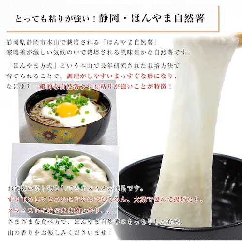 静岡県より産地直送 JA静岡市 本山自然薯 ほんやまじねんじょ 1本物 Mサイズ 1本入り 送料無料 山芋 やまいも とろろ【ご注文後3日から18日以内に発送します】_2