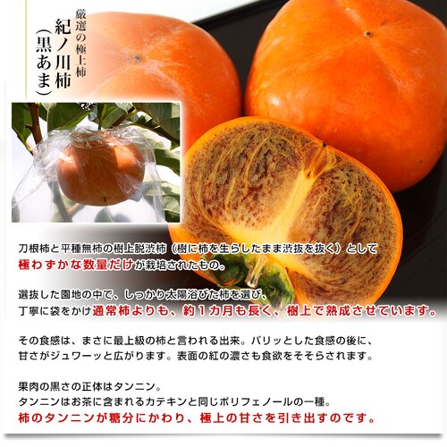 和歌山県より産地直送 JAわかやま 紀の里地域本部 紀ノ川柿「黒あま」 2キロ(8玉から10玉) 送料無料 カキ かき 柿【ご注文後3日から18日以内に発送します】_2