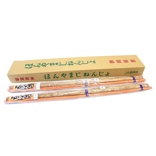 静岡県より産地直送 JA静岡市 本山自然薯 ほんやまじねんじょ 1本物 Lサイズ 1本入り 送料無料 山芋 やまいも とろろ【ご注文後3日から18日以内に発送します】_1
