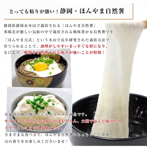静岡県より産地直送 JA静岡市 本山自然薯 ほんやまじねんじょ 1本物 Lサイズ 1本入り 送料無料 山芋 やまいも とろろ【ご注文後3日から18日以内に発送します】_2