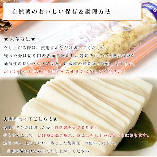 静岡県より産地直送 JA静岡市 本山自然薯 ほんやまじねんじょ 1本物 Lサイズ 1本入り 送料無料 山芋 やまいも とろろ【ご注文後3日から18日以内に発送します】_4
