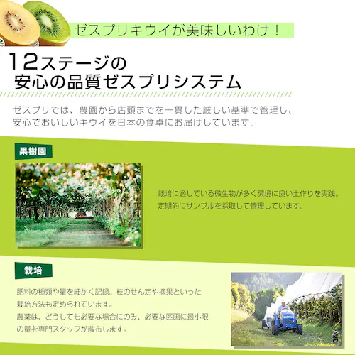ニュージーランド産 ゼスプリ・グリーンキウイ 大玉 1.8キロ以上(14玉) 送料無料 クール便 キウイフルーツ ヘイワード 完熟キウイ_3