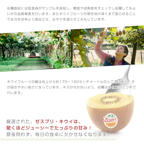ニュージーランド産 ゼスプリ・グリーンキウイ 大玉 1.8キロ以上(14玉) 送料無料 クール便 キウイフルーツ ヘイワード 完熟キウイ_7