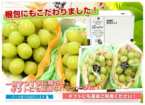 長野県産 シャインマスカット 秀品 約1キロ(2房)送料無料 ぶどう ブドウ 種なしぶどう【ご注文後3日から18日以内に発送します】_3
