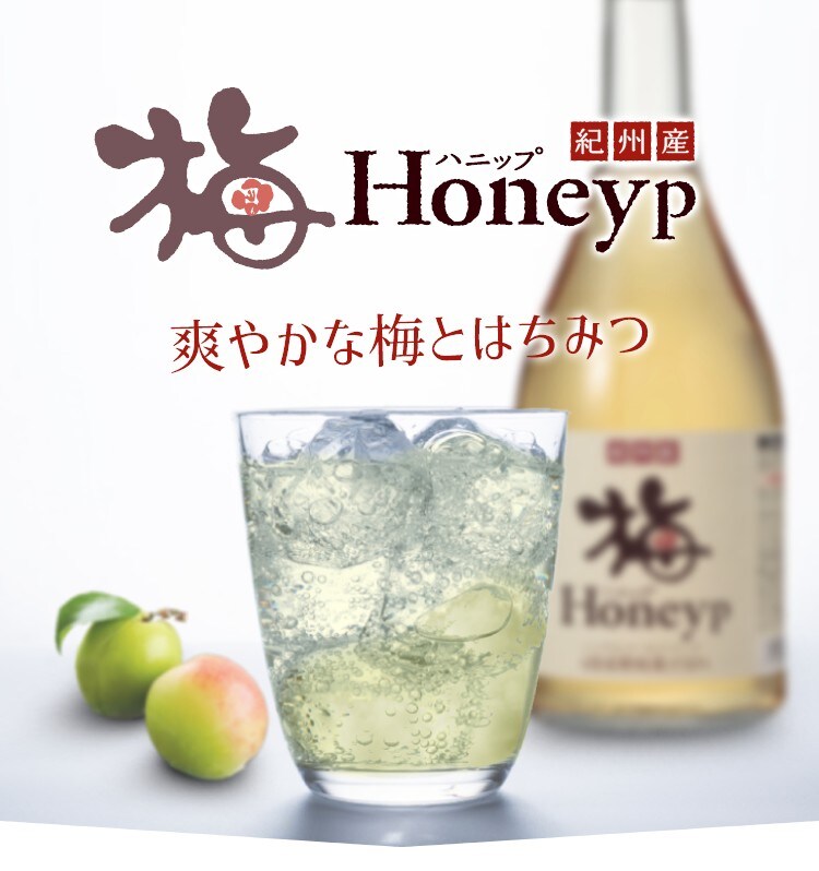 ＼クリアランス価格40％OFF／コプリナ 紀州産梅ハニップ 590g0