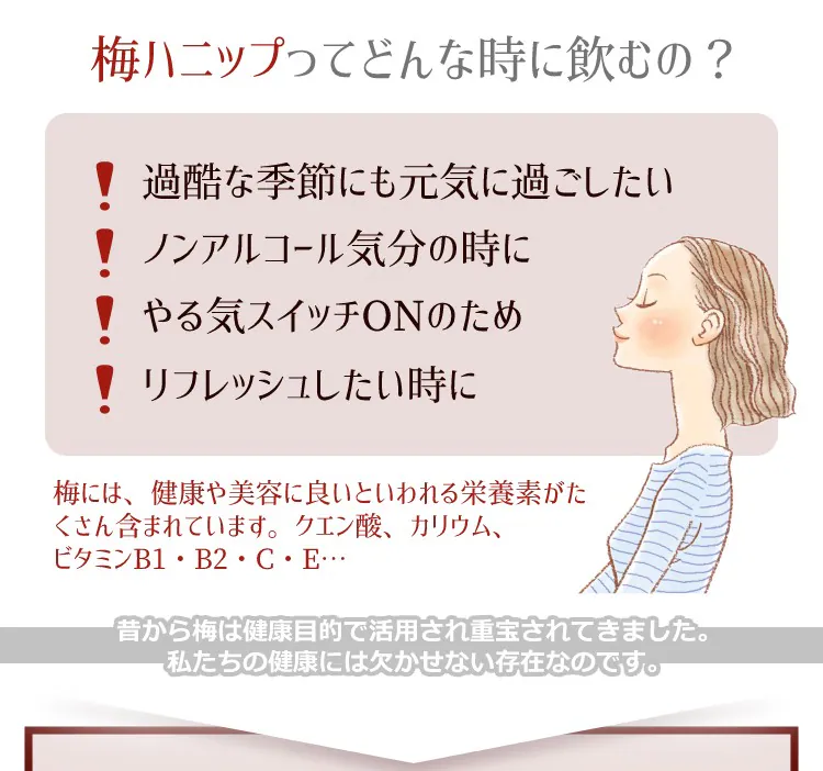 ＼クリアランス価格40％OFF／コプリナ 紀州産梅ハニップ 590g2