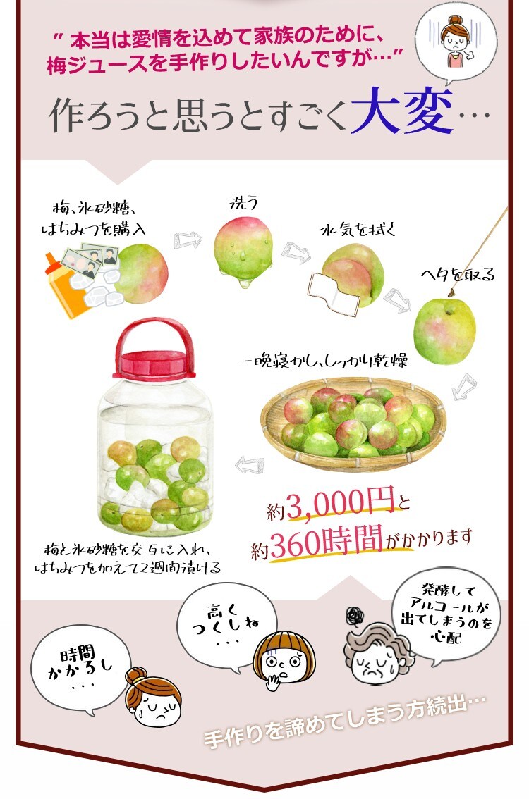 ＼クリアランス価格40％OFF／コプリナ 紀州産梅ハニップ 590g3