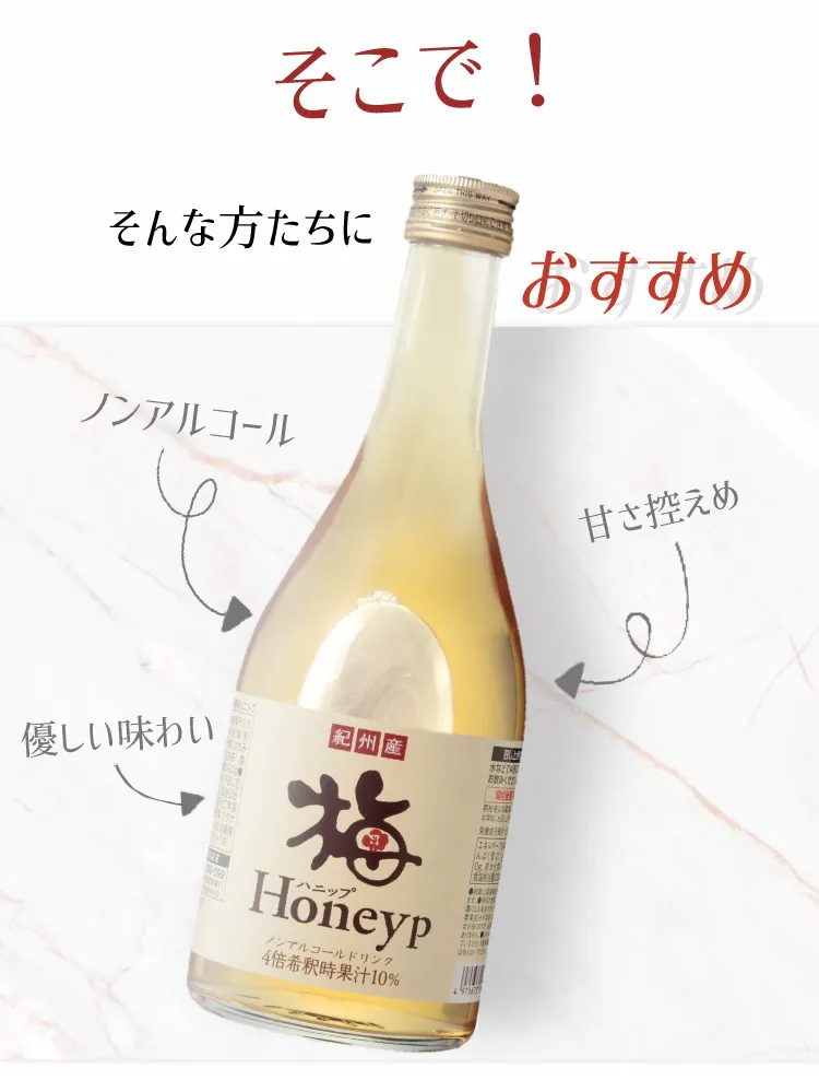 ＼クリアランス価格40％OFF／コプリナ 紀州産梅ハニップ 590g4