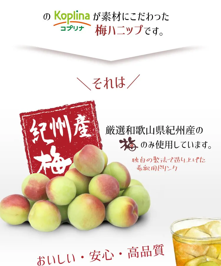 ＼クリアランス価格40％OFF／コプリナ 紀州産梅ハニップ 590g5