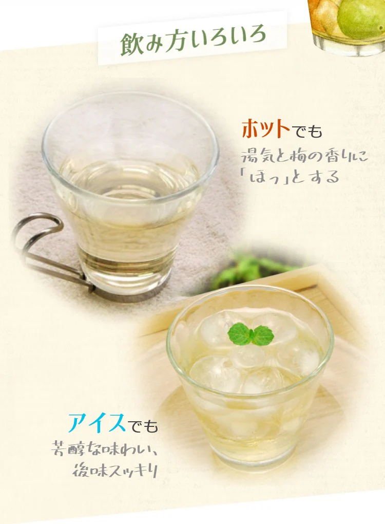 ＼クリアランス価格40％OFF／コプリナ 紀州産梅ハニップ 590g6