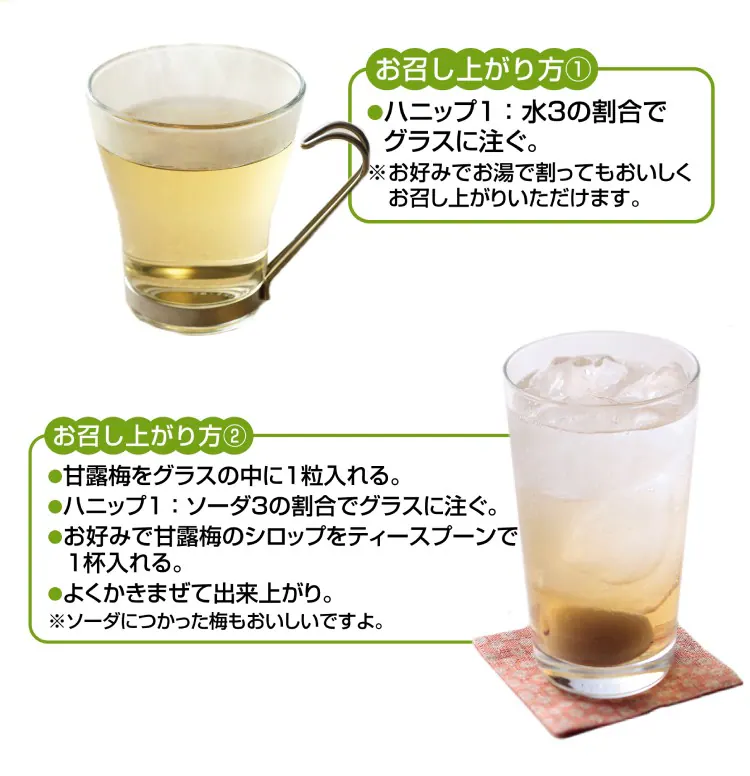 ＼クリアランス価格40％OFF／コプリナ 紀州産梅ハニップ 590g7