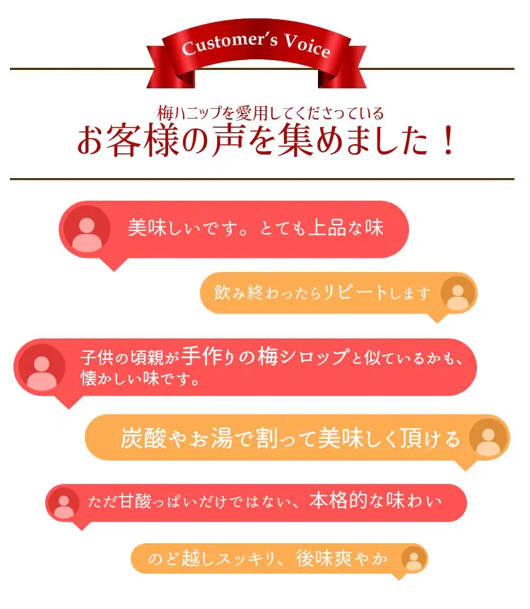 ＼クリアランス価格40％OFF／コプリナ 紀州産梅ハニップ 590g8
